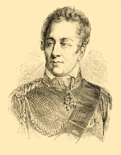 Il Duca di Wellington da Unbekannt
