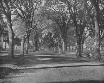 The Elms, New Haven, Connecticut, USA, c1900 da Unbekannt
