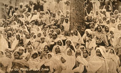 Le belle fanciulle di Sippi, Simla, c1918-c1939 da Unbekannt