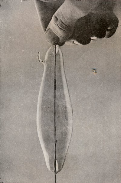 La prima lampada elettrica a incandescenza, c. 1916 da Unbekannt