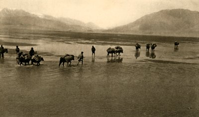 La prima vista del Monte Everest, c1918-c1939 da Unbekannt