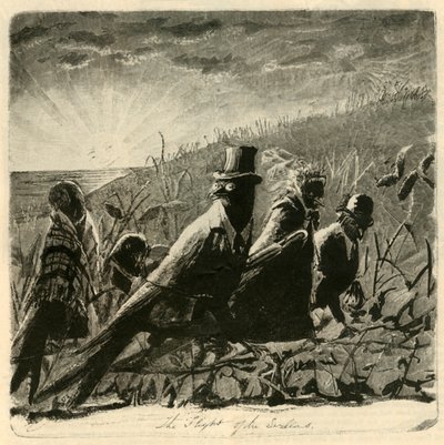 Il volo delle rondini, 1882 da Unbekannt