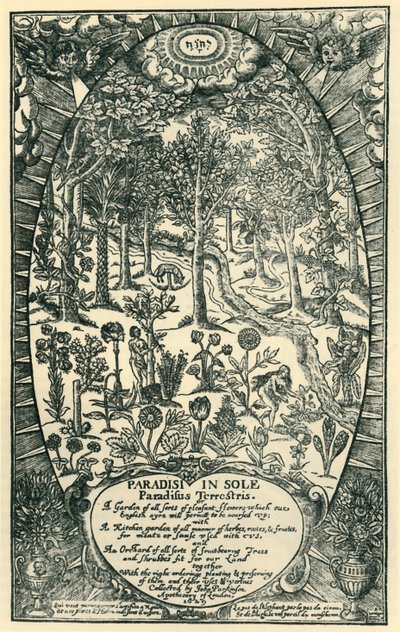 Il Giardino dell