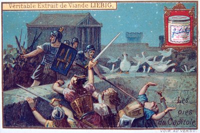 Le oche della capitale, cartolina commerciale continentale Liebig, c1900 da Unbekannt