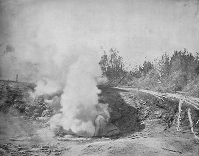 The Growler, Norris Geyser Basin, Parco di Yellowstone, c1897 da Unbekannt