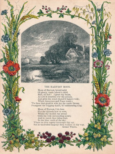La luna del raccolto di Kirke White, c1900 da Unbekannt