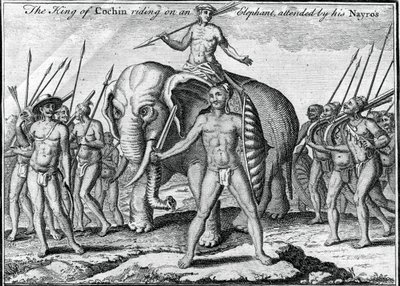 Il re di Cochin a cavallo di un elefante, accompagnato dai suoi Nayros da Unbekannt