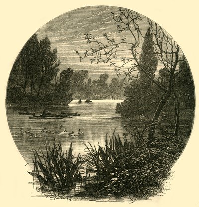 Il lago, Battersea Park, c1878 da Unbekannt