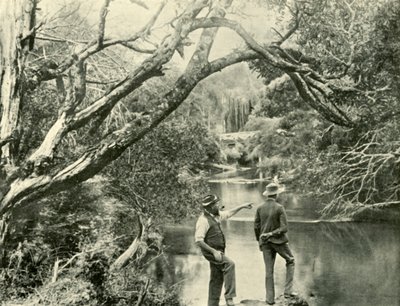 Il luogo di lancio, Upper Yarra, Victoria, 1901 da Unbekannt
