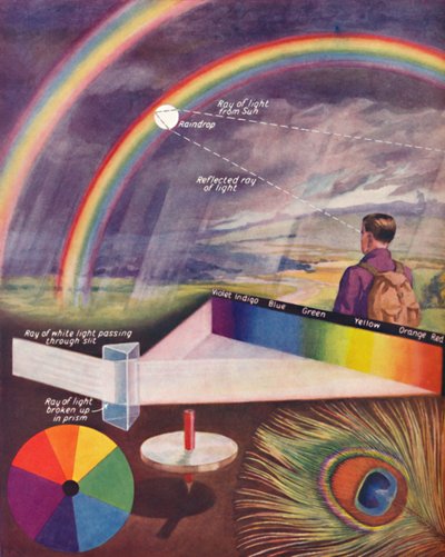 I Molti Colori che Compongono la Luce Bianca da Unbekannt
