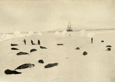 Il Nimrod a Pram Point il 4 marzo 1909 da Unbekannt