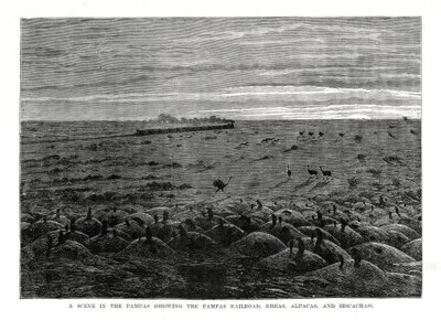 La ferrovia delle Pampas, bassopiani sudamericani da Unbekannt