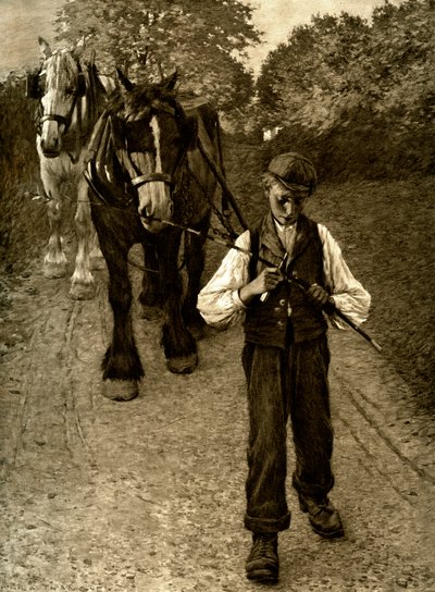 Il ragazzo dell
