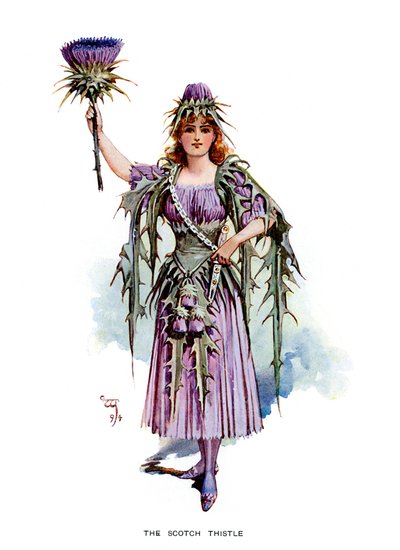 Il cardo scozzese, 1899 da Unbekannt