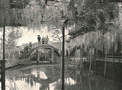 Lo stagno Shinji-No-Ike e glicine, Kameido, Tokyo, Giappone da Unbekannt