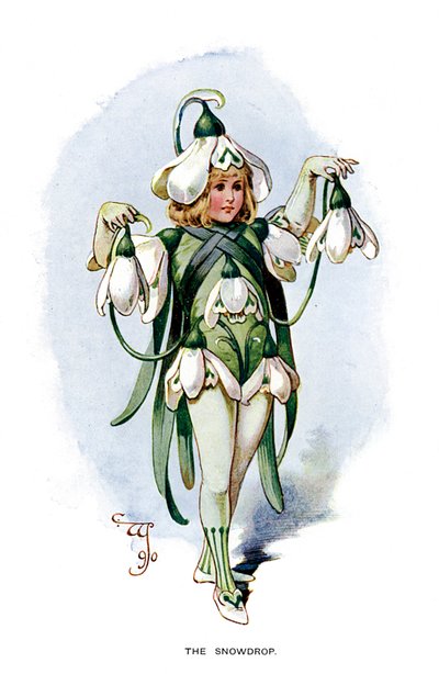 Il Bucaneve, 1899 da Unbekannt