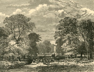 La strada di Southampton da Unbekannt