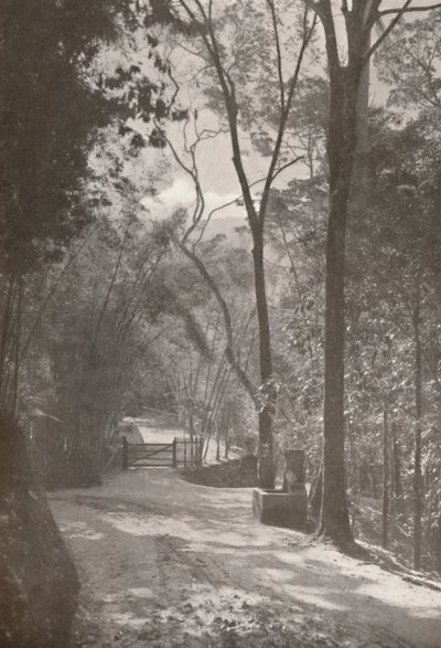 Lo spirito di Tijuca da Unbekannt