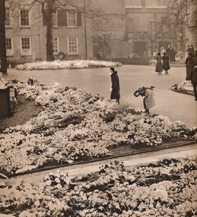 Il funerale di stato di Re Giorgio V a Windsor: corone commemorative, 1936 da Unbekannt