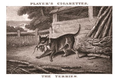 Il Terrier, 1924 da Unbekannt