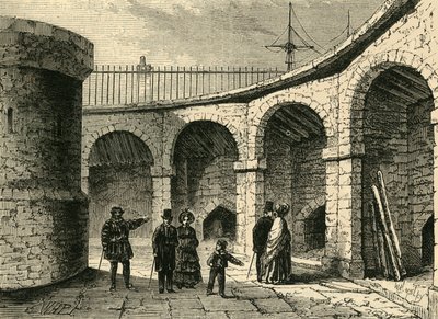 La Menagerie della Torre da Unbekannt