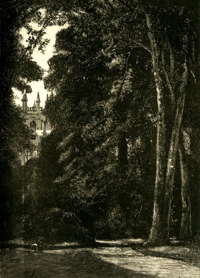 La Torre di Merton, dal Giardino, 1898 da Unbekannt