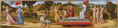Il trionfo della castità da Unbekannt