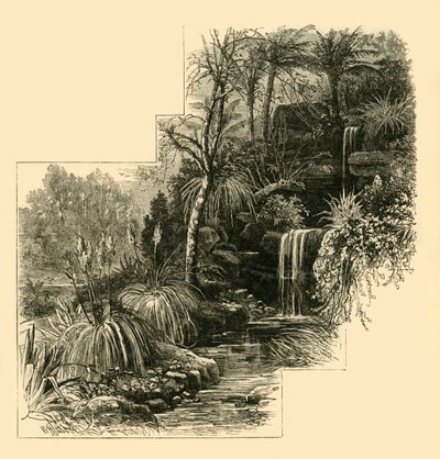 I Giardini Tropicali, Battersea Park, c1878 da Unbekannt