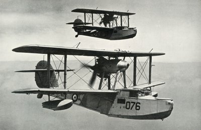 Il Vickers-Armstrongs Walrus, 1941 da Unbekannt