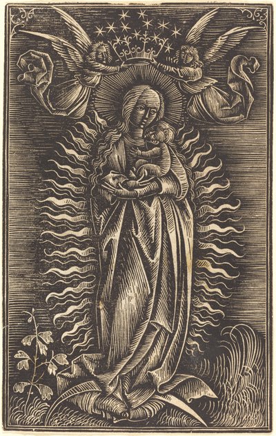 La Vergine incoronata da due angeli da Unbekannt
