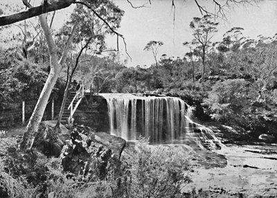 La roccia piangente a Wentworth Falls, Blue Mountains, c1900 da Unbekannt