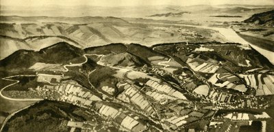 La Strada del Wienerwald, Vienna, Austria, c1935 da Unbekannt