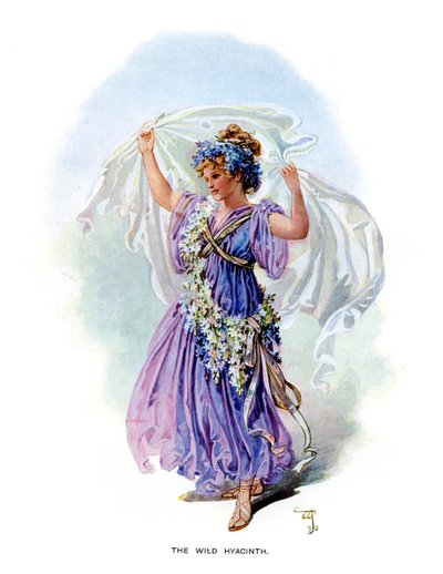 Il giacinto selvatico, 1899 da Unbekannt