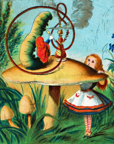 Il bruco sul suo fungo, c1900 da Unbekannt