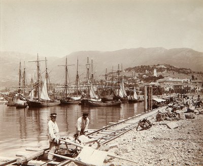 La costruzione di un molo a Yalta, Crimea, fine XIX secolo da Unbekannt
