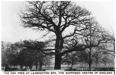 La quercia a Leamington Spa, il presunto centro dell