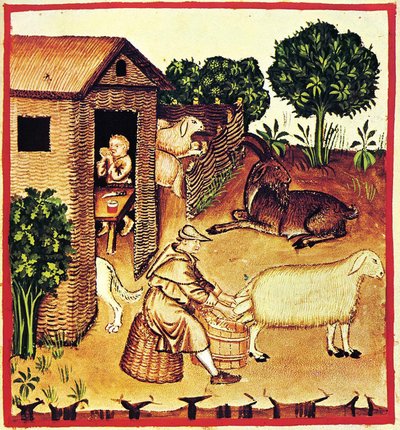 La produzione del formaggio. Una miniatura dal Tacuinum Sanitatis, seconda metà del XIV secolo da Unbekannt