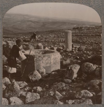 Le rovine di Tekoa da Unbekannt