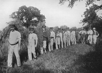 La carenza di manodopera agricola: Soldati che assistono con il raccolto, 1915 da Unbekannt