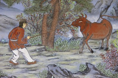 I dieci quadri della pastorizia del bue del buddhismo zen rappresentano le fasi dell