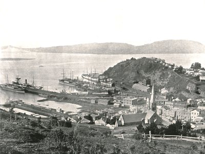 La città e il porto, Port Chalmers, Nuova Zelanda, 1895 da Unbekannt