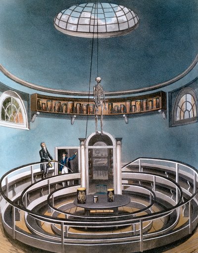 Teatro di Anatomia, Cambridge, 1815 da Unbekannt
