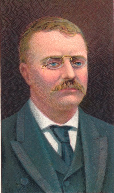 Theodore Roosevelt 1858-1919, 26º Presidente degli Stati Uniti, 1906 da Unbekannt
