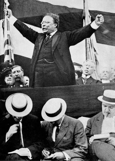Theodore Roosevelt, Presidente degli Stati Uniti, 1901-1909 da Unbekannt