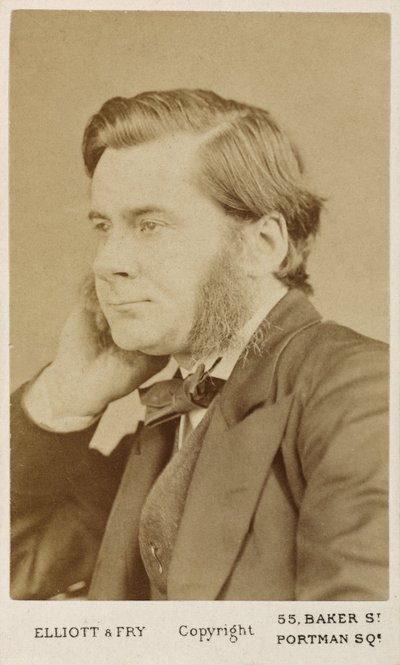 Thomas Henry Huxley, biologo britannico, c1865-1886 da Unbekannt