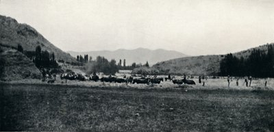 Trebbiatura del mais alla maniera antica, 1911 da Unbekannt