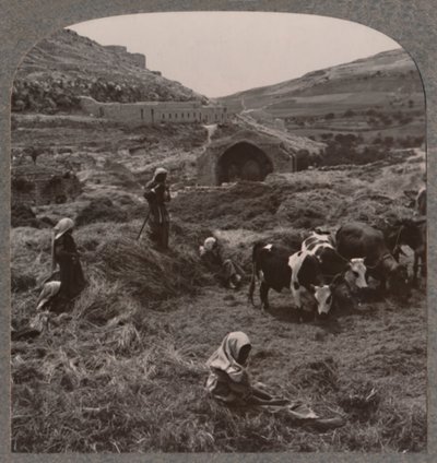 Trebbiatura del grano vicino al pozzo di Giacobbe, c1900 da Unbekannt