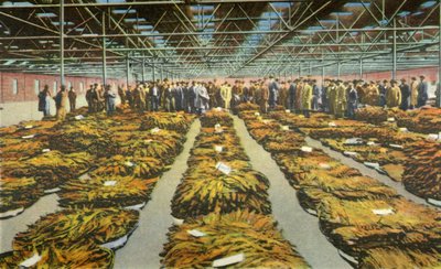 Vendita di tabacco, una scena sempre interessante da Unbekannt