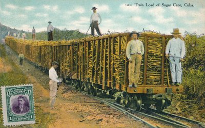 Carico di treno di canna da zucchero, Cuba, 1911 da Unbekannt