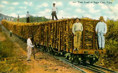 Carico di zucchero di canna, Cuba, c1910s da Unbekannt
